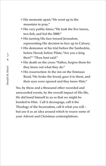Seeing through the Cross by Don Meisel