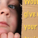 Cardboard Box City Brochure