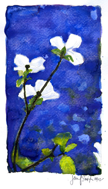 White Flowers