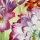 Dahlias