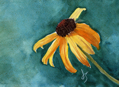 Black Eyed Susan