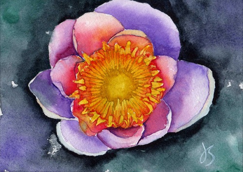 Vibrant Flower