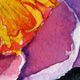 Vibrant Flower