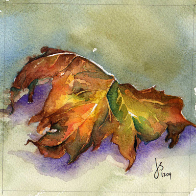 Sycamore Leaf 1