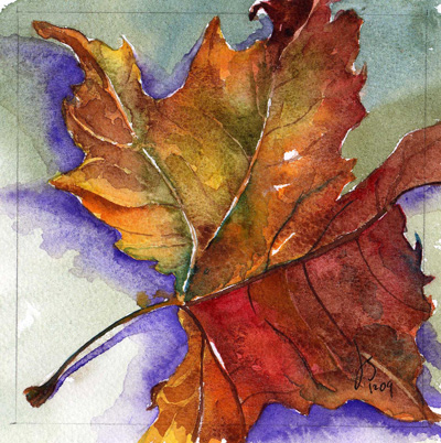 Sycamore Leaf 2