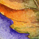 Sycamore Leaf 2