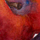Plums