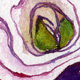 Red Onion