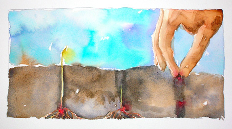 Planting Heart Seeds